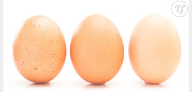 Comment conserver les œufs frais ?