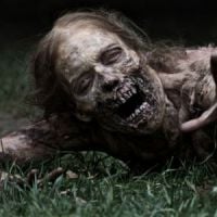 Walking Dead : un spin-off nommé "Spread the Dead"