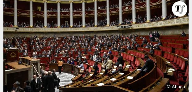 Sexisme à l'Assemblée : nouveau dérapage d'un député UMP, Bernard Accoyer