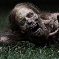 Walking Dead : une saison 5 pour la série de zombies