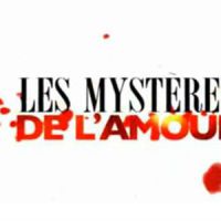 Les mystères de l’amour Saison 5 : les épisodes sur TMC Replay