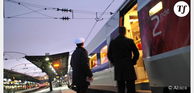 SNCF : une transsexuelle récolte une amende dans le TGV