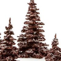 E = M6 : recette du sapin en chocolat & amandes de Patrick Roger