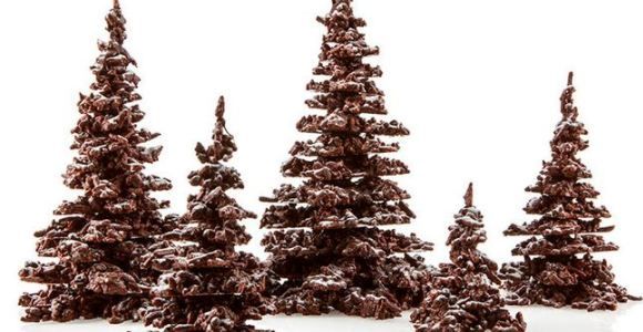 E = M6 : recette du sapin en chocolat & amandes de Patrick Roger