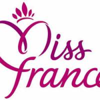 Miss France 2014 : Garou président, qui sont les membres du jury ?