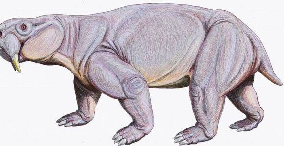 Les plus vieux excréments du monde découverts en Argentine