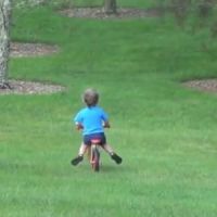 Un homme éclate de rire alors que son fils se mange un arbre - vidéo