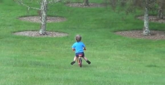 Un homme éclate de rire alors que son fils se mange un arbre - vidéo