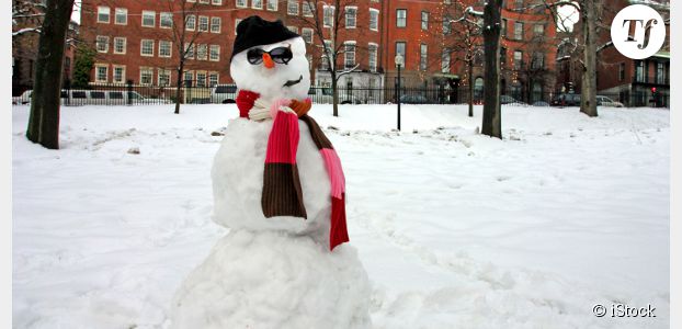 Tours : le bonhomme de neige de la mairie retrouvé grâce à Twitter