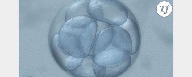 Deux femmes stériles enceintes grâce aux embryons vitrifiés