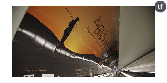 Les Bishnoïs : des écolos avant l'heure