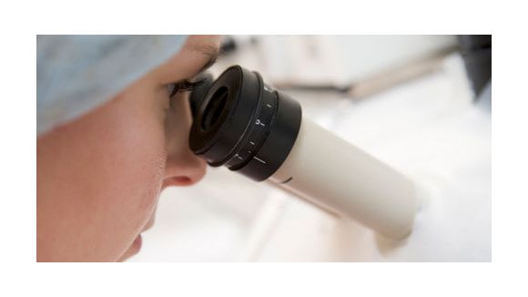 Bioéthique : le projet de loi débattu en seconde lecture par les députés