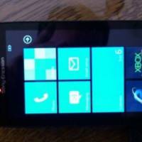 Windows Phone : bientôt un smartphone Sony ?