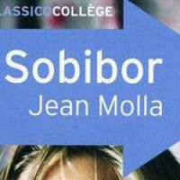 "Sobibor" de Jean Molla : un livre dont vous ne sortirez pas indemne