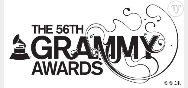Grammy Awards 2014 : cérémonie en direct streaming sur Internet et à la TV