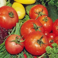 Concombre contaminé : alerte sur la tomate et la salade