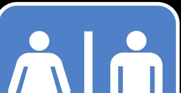 Manif pour tous: au fait, la « théorie du genre », c'est quoi ?