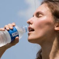 Canicule : le niveau 1 du plan de veille est activé