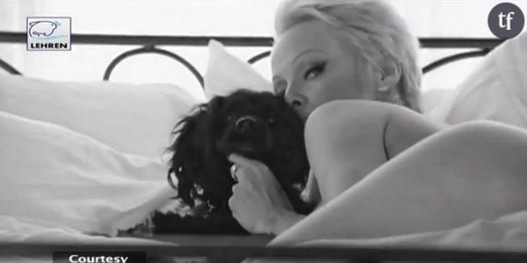 Pamela Anderson nue pour la PETA, la blonde récidive - vidéo