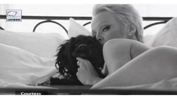 Pamela Anderson nue pour la PETA, la blonde récidive - vidéo