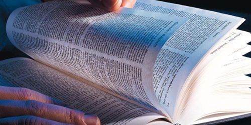 « Cagole », « cougars », « tweet », « vuvuzela »: les nouveaux mots du Robert