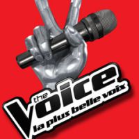 The Voice 2014: combien l’émission rapporte-t-elle à TF1?