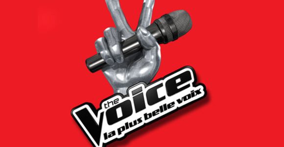 The Voice 2014: combien l’émission rapporte-t-elle à TF1?