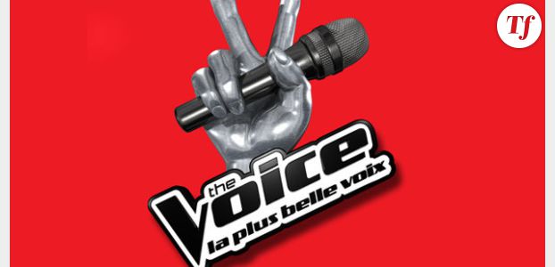 The Voice 2014: combien l’émission rapporte-t-elle à TF1?