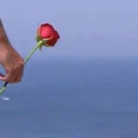 Bachelor 2014 : Paul n’aime pas « les moches »