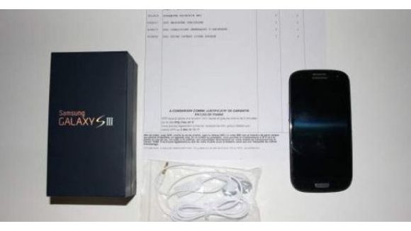 Leboncoin : un smartphone Galaxy S3 livré par pigeon