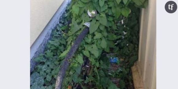 LeBonCoin : un vélo un peu pourri et très vert à vendre