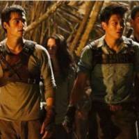 "The Maze Runner" : la bande-annonce du nouveau "Hunger Games"