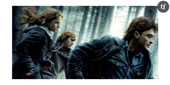 Harry Potter : bientôt trois films sur Les Animaux Fantastiques
