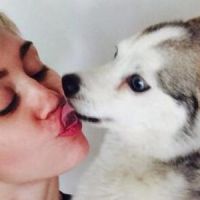 Miley Cyrus : son chien meurt et elle montre ses seins