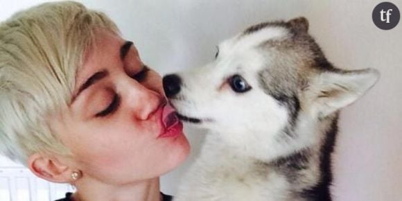 Miley Cyrus : son chien meurt et elle montre ses seins