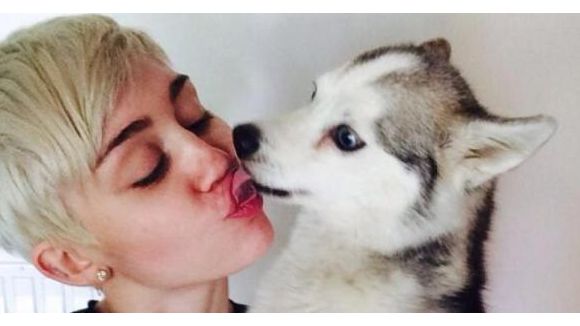 Miley Cyrus : son chien meurt et elle montre ses seins