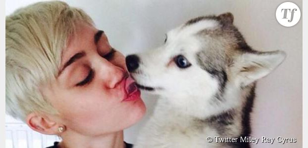 Miley Cyrus : son chien meurt et elle montre ses seins