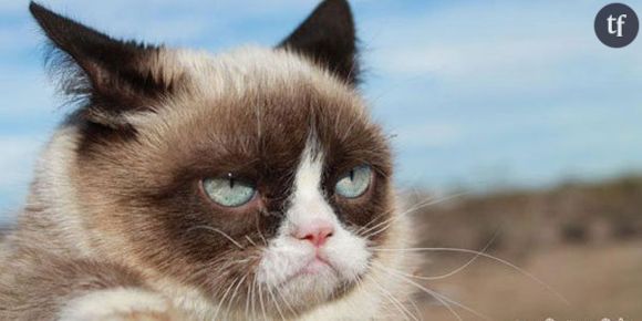 Grumpy Cat, nouvelle star de Vogue US