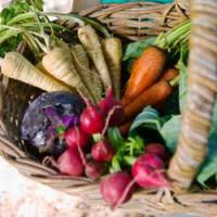 Cavientdujardin.com : le nouveau bon plan des locavores