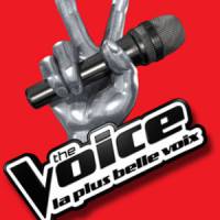 PSG vs The Voice 2014 : qui l'emporte sur Twitter ?