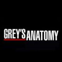 Grey's Anatomy Saison 9 : 3 bonnes raisons de regarder (spoilers)