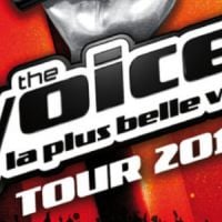 The Voice 2014 : les candidats sélectionnés pour la tournée