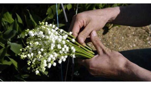 1er mai : Les origines de la fête du Travail