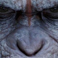 La Planète des singes : l'affrontement, une bande-annonce à couper le souffle