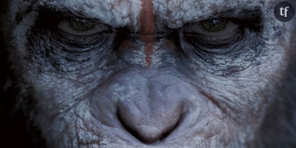 La Planète des singes : l'affrontement, une bande-annonce à couper le souffle