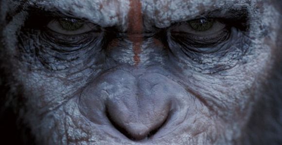 La Planète des singes : l'affrontement, une bande-annonce à couper le souffle