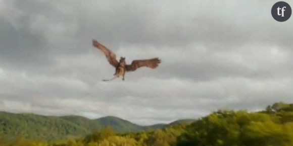 Harry Potter : date de sortie du nouveau film sur les animaux fantastiques