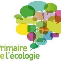 Résultats des Primaires Europe-Ecologie : carton plein pour Eva Joly 