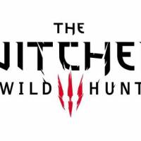 The Witcher 3 : les devs taclent l'industrie du jeu vidéo 