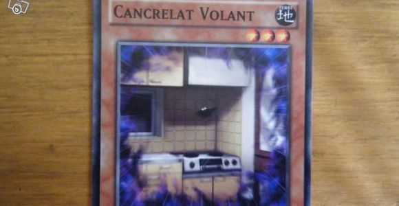 LeBonCoin : une annonce effrayante pour un cancrelat volant 